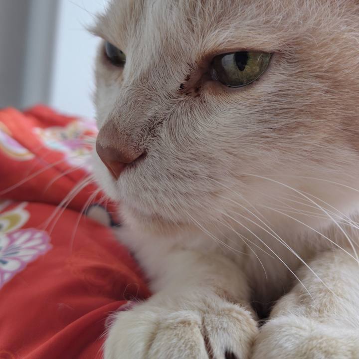 Cdfd773c 5dbf 4431 abf8 e9f382ab3f60 1745026380541