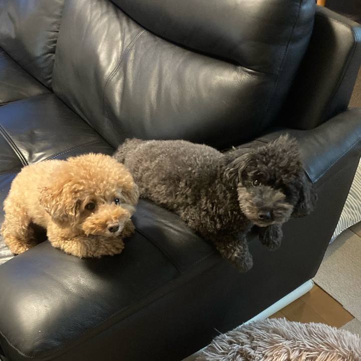 Cdfd8866 3e28 4b44 8e8f 96d929b66ecb 1667537676617