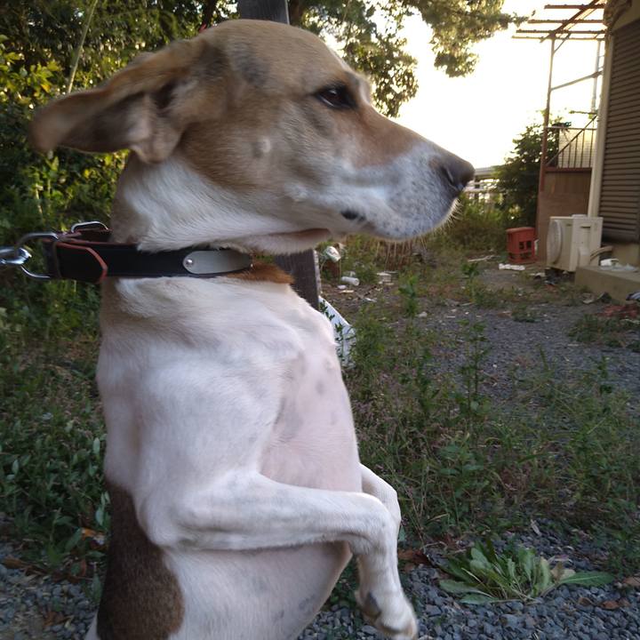 Cdfd8ccd 1adb 4f24 9c8c 17a1df283cad 1633084848274