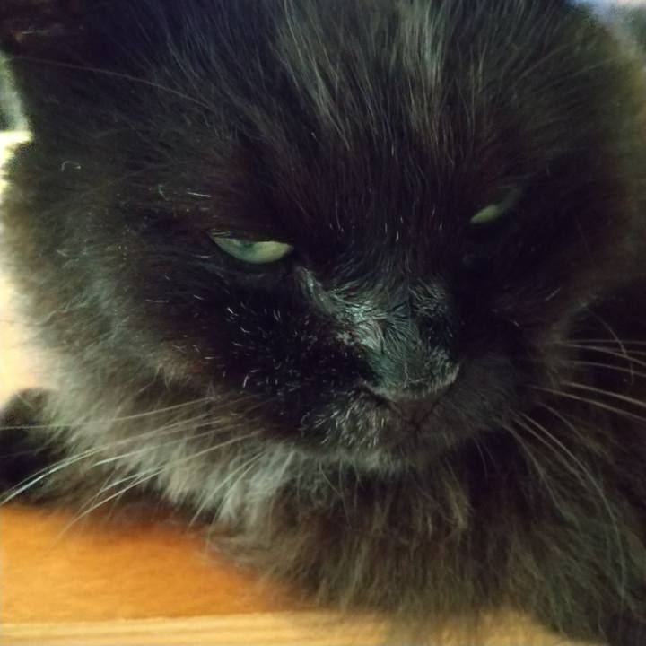 Cdfd9826 da86 4225 8081 d3711304f336 1627979239633