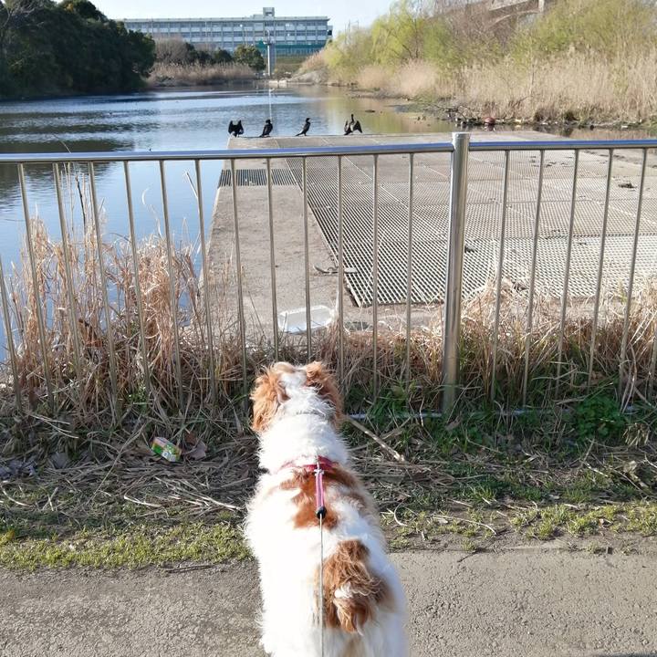 Cdfdf346 97e1 4e97 8686 b1eeeed8cb39 1584706853540