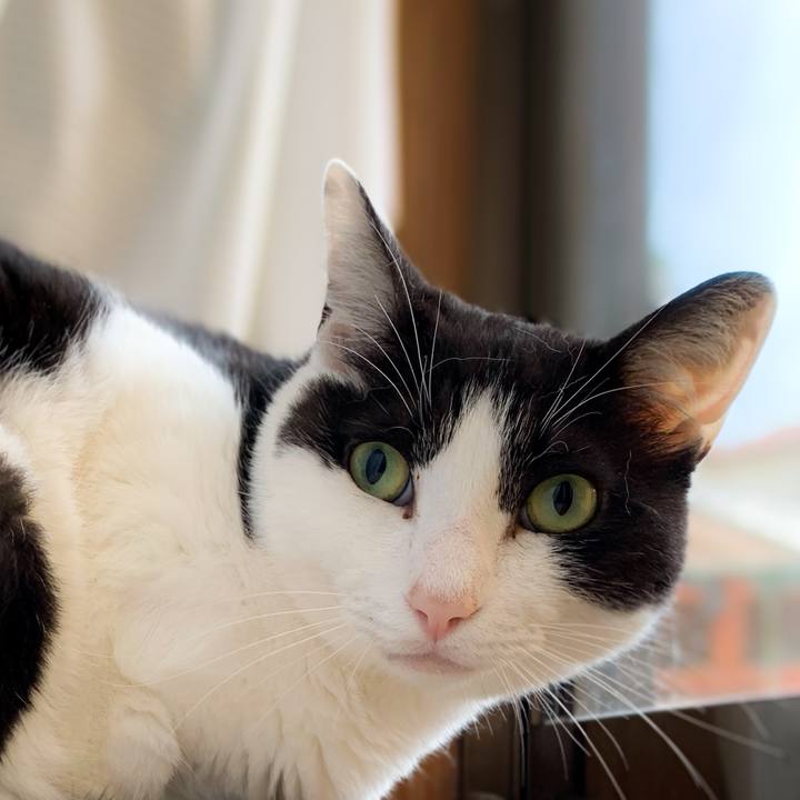 Cdfe2f52 9654 4323 b8e7 f501bc675c26 1591665104144