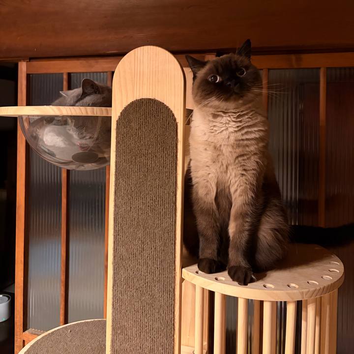 Cdfe33dc 865a 4d77 8432 a78fa2f4fdd5 1763637632029