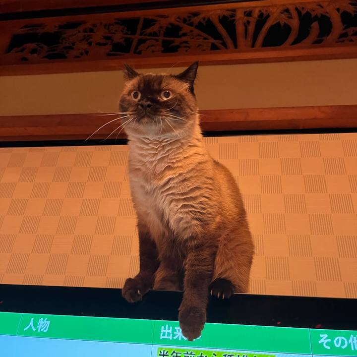 Cdfe3b92 1b58 438c ae58 1b2a55a958c8 1691281323186