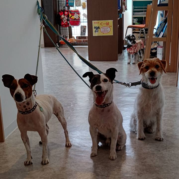 Cdfe442f e8f6 4811 bec2 373be242c814 1640772946791