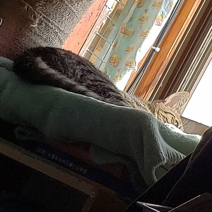 Cdfe47ed 4487 4c0d 81ca 415a0c97c108 1541901386403