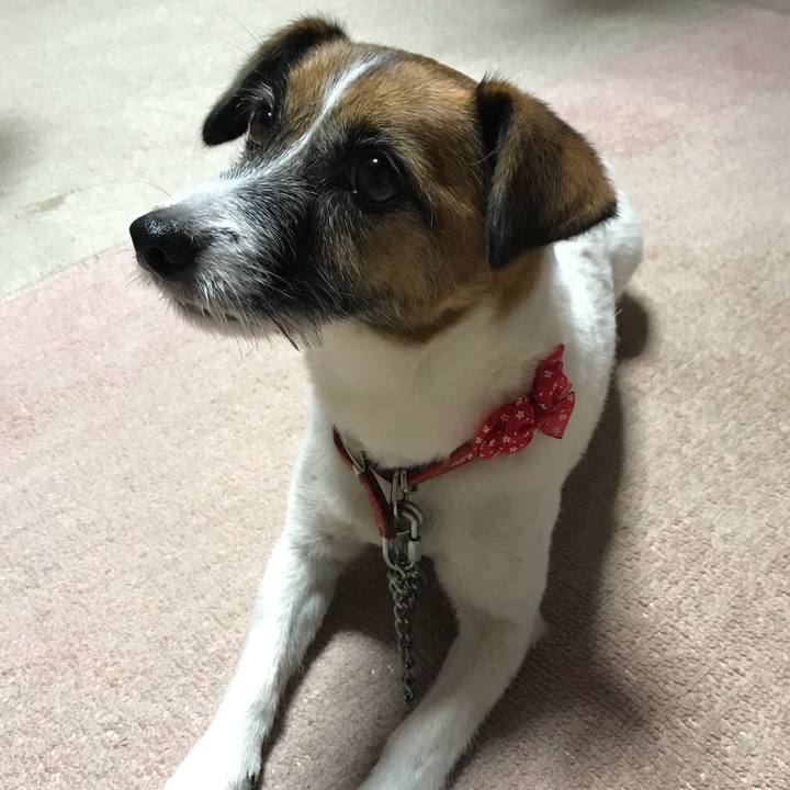 Cdfe62bc 431a 4fcf 9988 bc4c55ce17c9 1536661145237