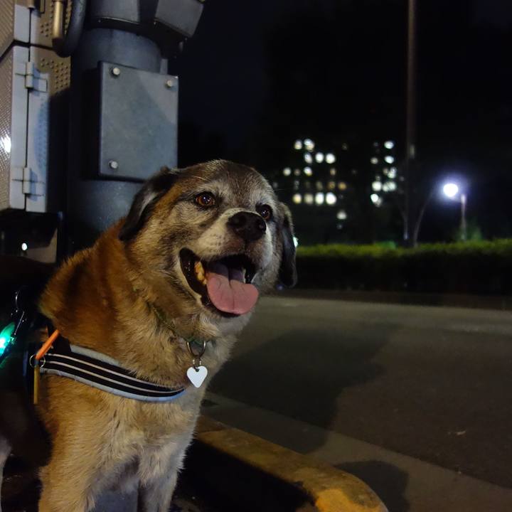 Cdfe966f c7f6 4e06 a033 bb537e75ea55 1567258076103