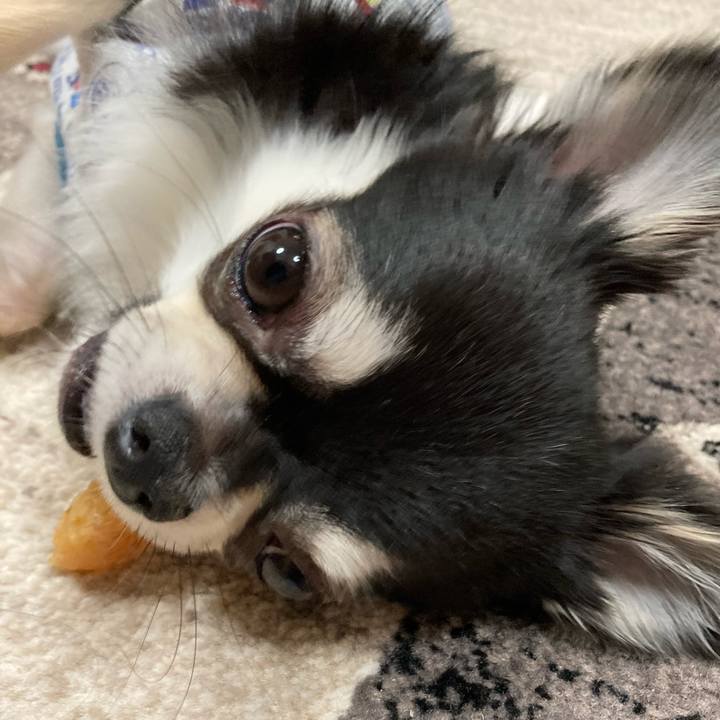 Cdfe9782 be3e 41cb 8ac3 ad80e45ff71b 1619358822383