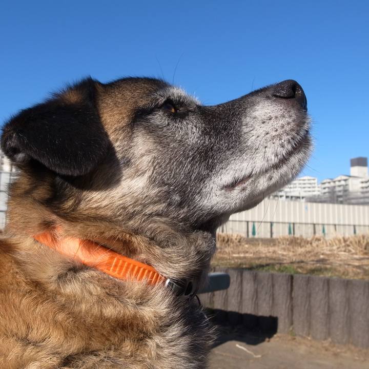 Cdfeb3b7 bbfb 4f99 b045 83d1fdc9e833 1584089039277