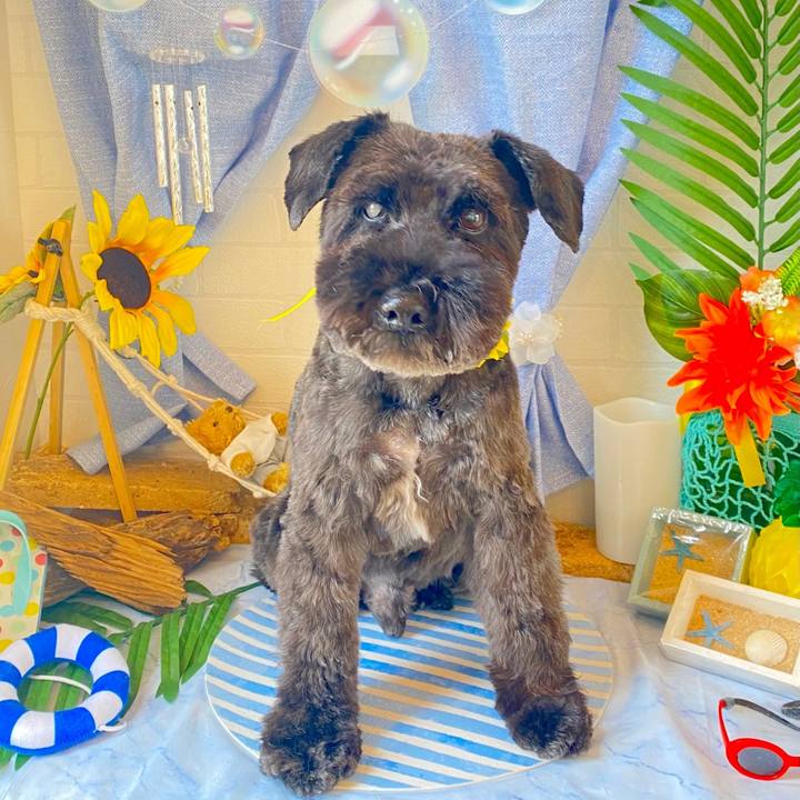 Cdfef89c ae97 410a 81e0 5178c21436e5 1699361670509