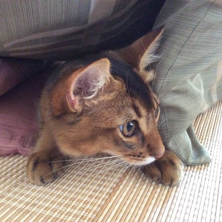 Cdff007f 88be 4425 9aa5 db50fcbf5008 1564446353466