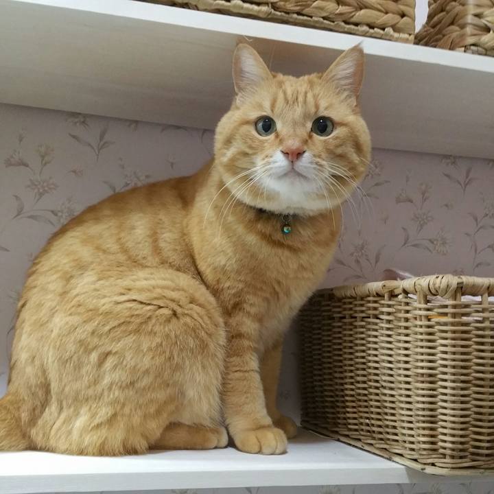 Cdff1d4d 015b 49a8 b8f7 014bae24cf0d 1547682921804