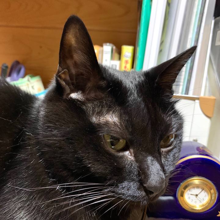 Cdff3f73 a635 4fce 8386 7e75e83da028 1586606958372