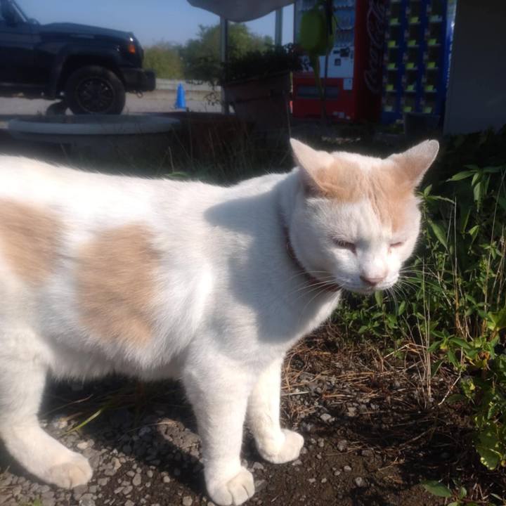 Cdff4b4f 832d 401f 95ae afc51bf5a445 1755561847974