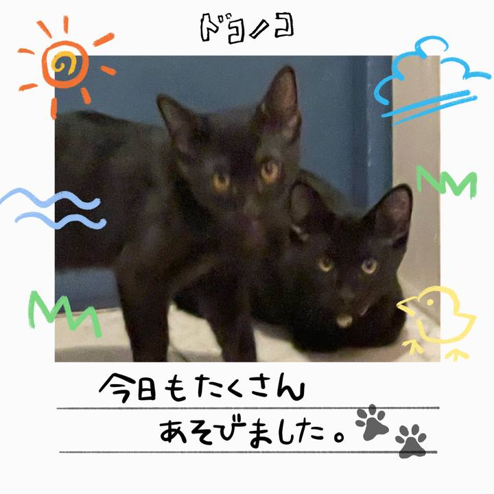 Cdffb032 f770 471b 9951 2ef5b178c01e 1755183927627