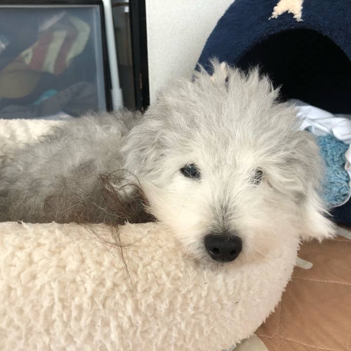 Cdffc0b8 dc95 4767 b931 fddc14b023ca 1597119012582