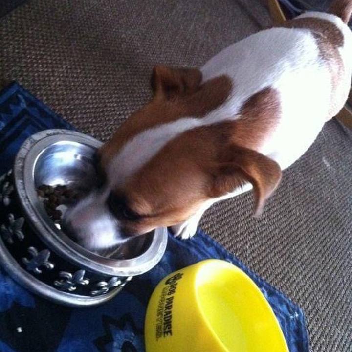 Cdffd70e 73ec 426c af03 63398b0baa1f 1664366106169