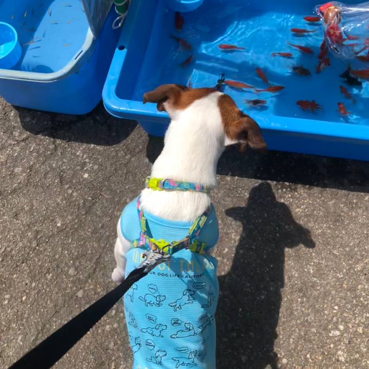 Ce002fa9 4bb0 43ae b21e 36c0db811cd6 1525507875307