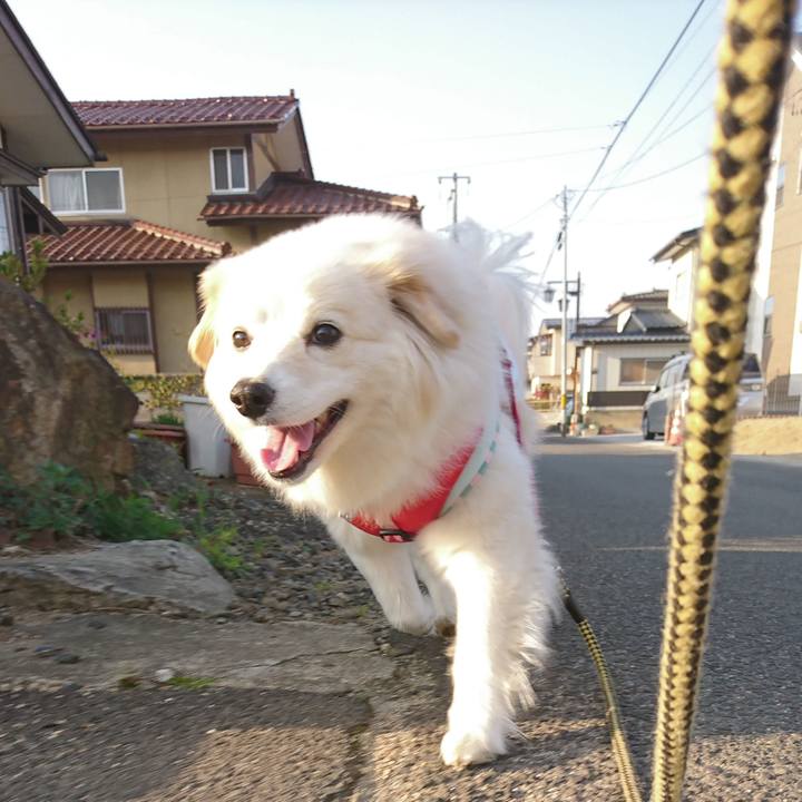 Ce003399 26e5 4094 b058 9383eddb5c69 1524260524980