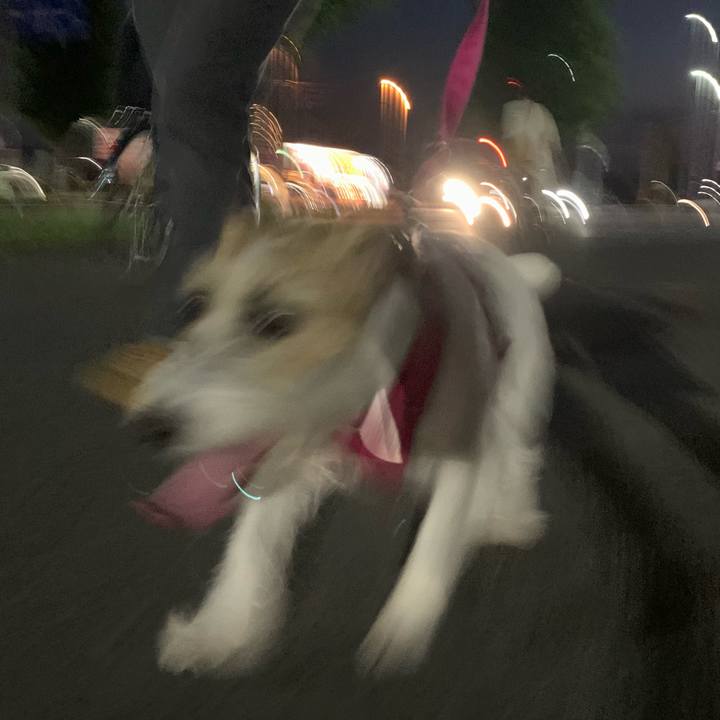 Ce00795b b211 4789 9107 e899f19f5282 1656592589758