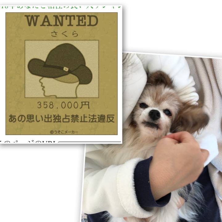 Ce0081f3 b313 46b9 a09c 86a307d0ea71 1515729998160