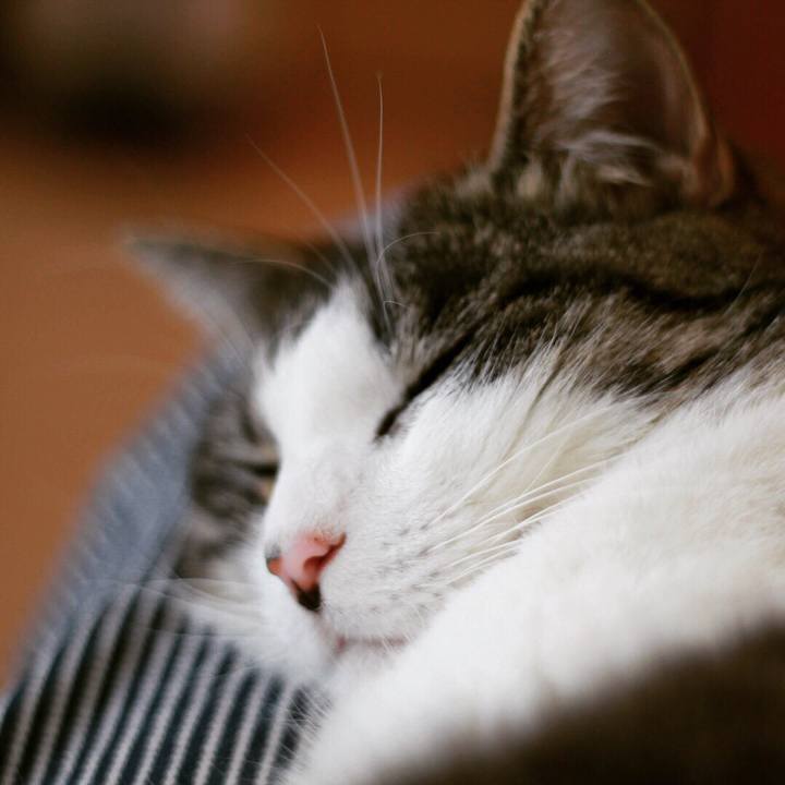 Ce008c5f 0cec 4ac4 bcc8 6e9551c7c118 1528153253296