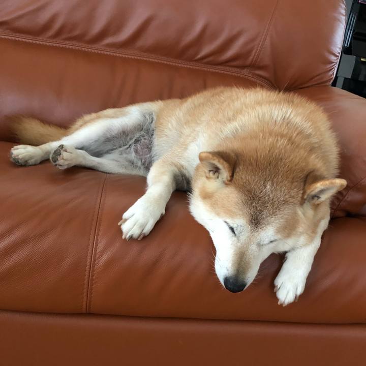 Ce00e0e1 472e 45ab aba5 e2a2aa1a034a 1539580118321