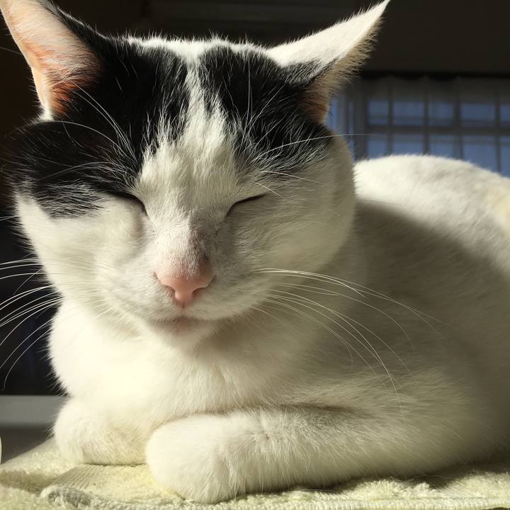 Ce0164d5 9482 4d23 af9c 9fe937f73302 1580614464418