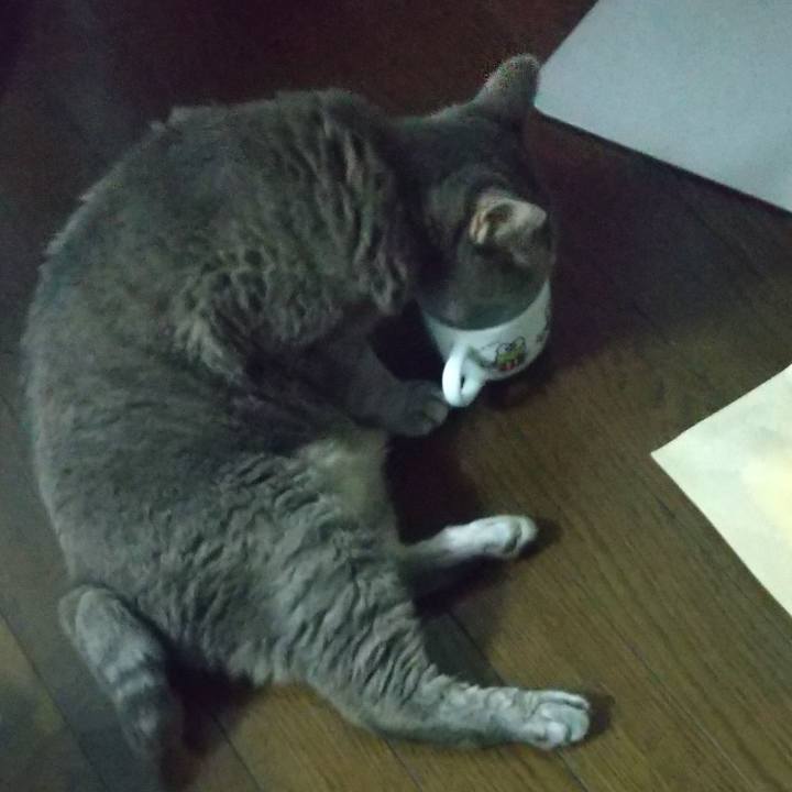 Ce019b30 76e8 4108 b287 62caadec5155 1661074657382