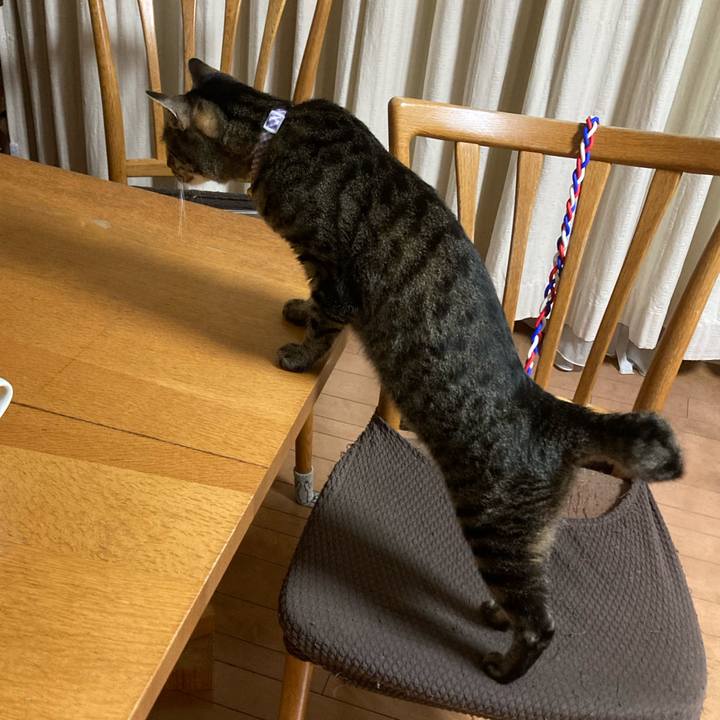 Ce01fc0f e756 4f69 9474 395fb53848f6 1630922328928