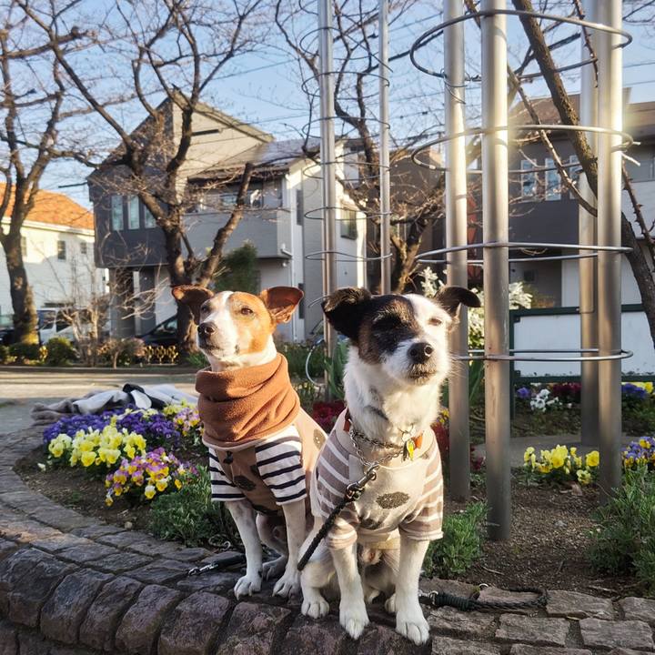 Ce021a38 a488 41f4 b759 f513d3147fe3 1774303596165