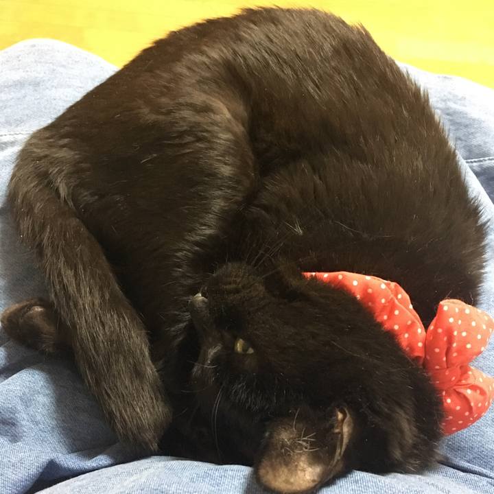 Ce02248a 3b98 45a5 a81b 7773cb4f4537 1551874372515