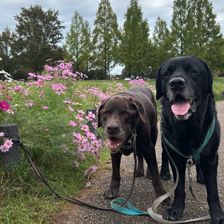 Ce022a76 3854 479b a1ae 4406da5717af 1760878573080