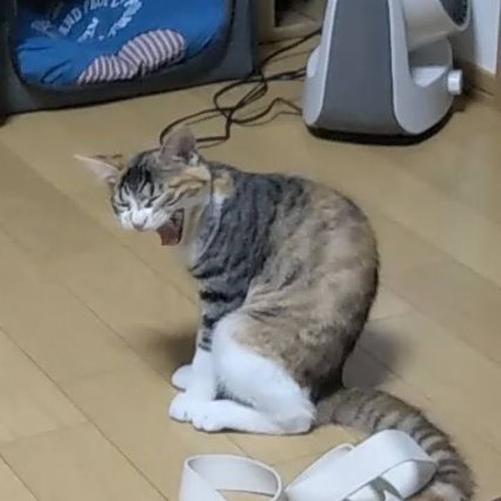 Ce024d7f 0011 441d 8e96 c139a9be1af4 1630929362480