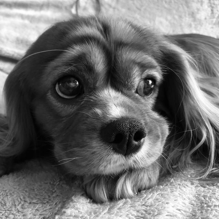 Ce0294e6 dc7b 4386 a40b eae24824f6c6 1603720201800