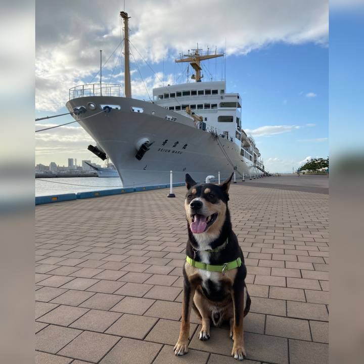 Ce029bf0 41f0 4bf3 9931 b9e14ec5526c 1601250104628