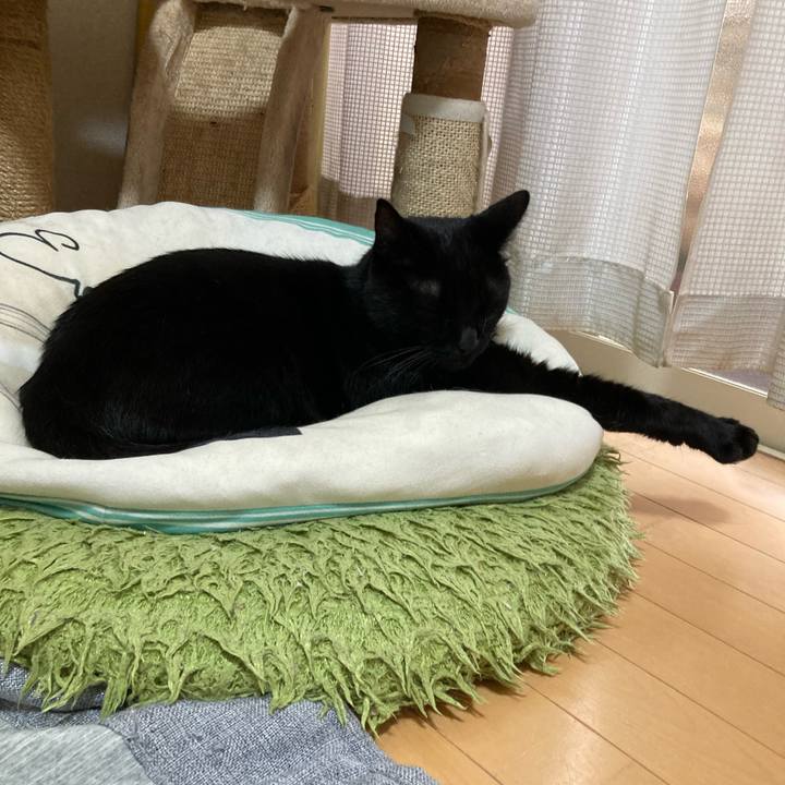 Ce02df27 2d09 4a00 a299 4695c2d792cf 1765609225286