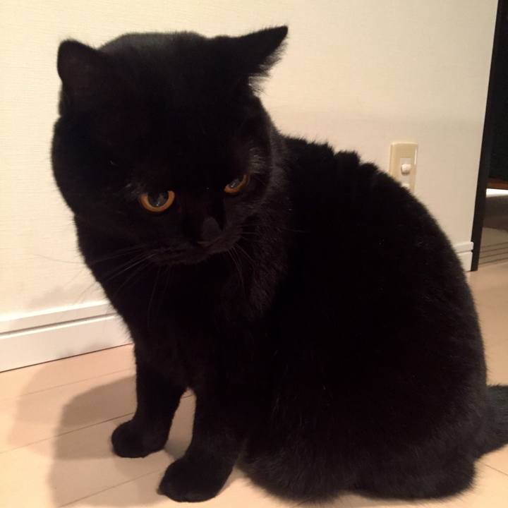 Ce030d1f 45fa 4fc7 8196 2f7a49587a6f 1576671722946