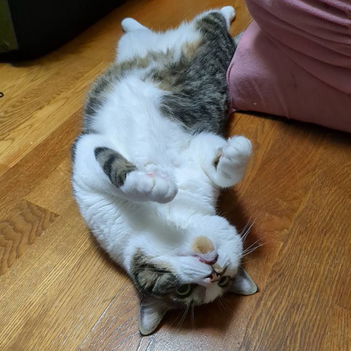 Ce0366ff b17f 4216 8f6f cac6e0bd529c 1720006936682