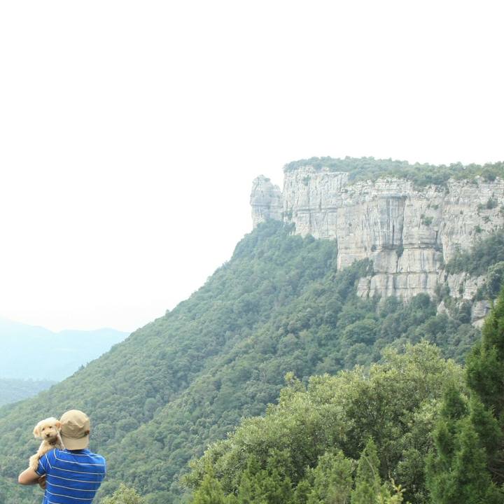 Ce03f317 b1e8 4868 a9e6 dc3ef0bc68ec 1532532666518