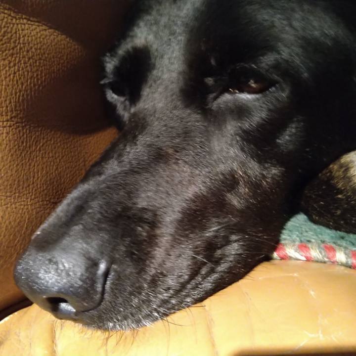 Ce03fcbc 56ea 42cb 91eb 38eccb768a38 1620140307207