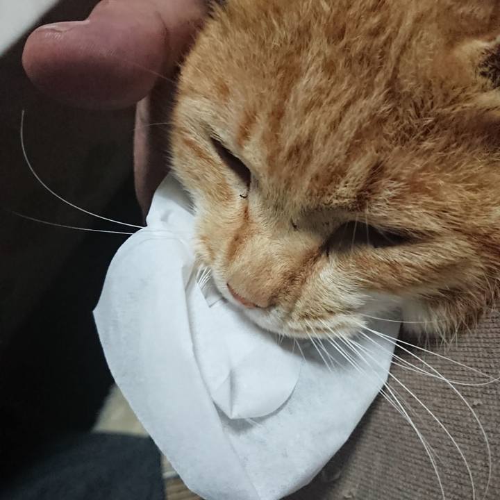 Ce04200d a37e 4189 a1e0 ac04352e72d8 1580850399112