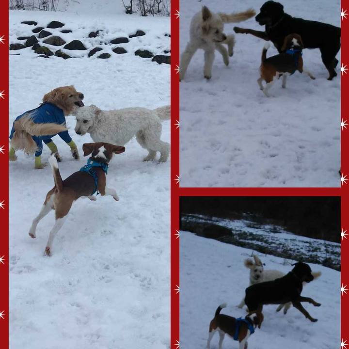 Ce04220e ab56 4c26 90aa 8902f82d7619 1578819313340