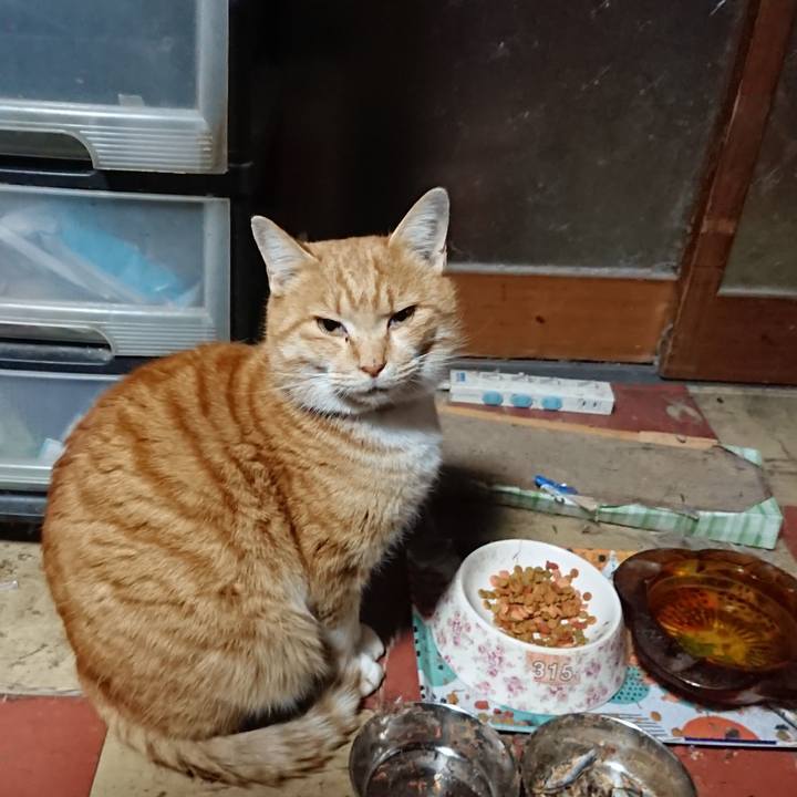 Ce0452cc 59cf 4c0e af68 524ab818dbee 1577909201309