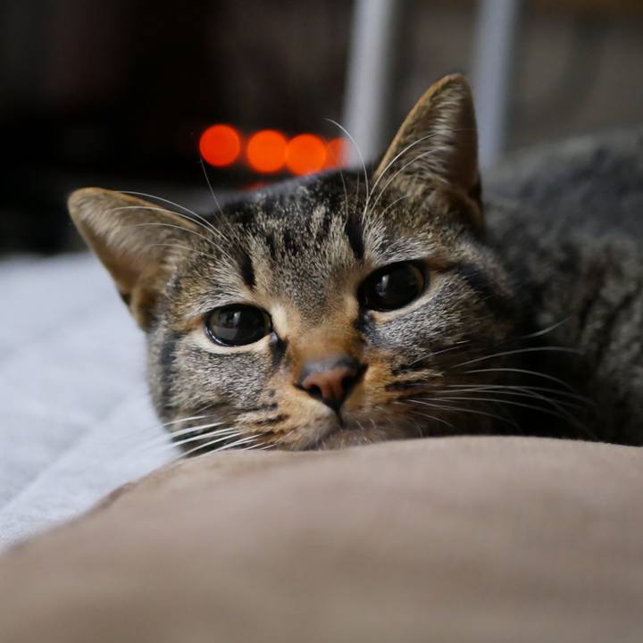 Ce046497 8d0a 4b26 896f b17f3fdd524b 1518541306812