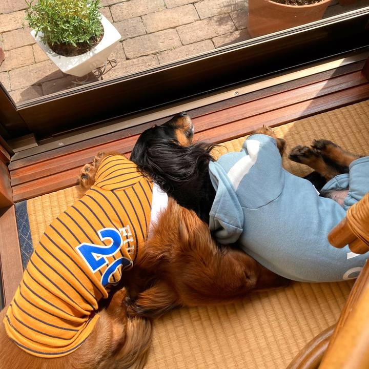 Ce048ad7 ad22 4e0a 9d65 6392e122f4e2 1712985204003