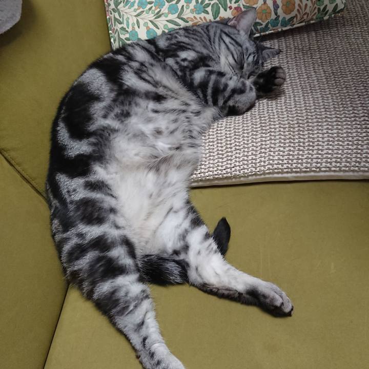 Ce048bda 015c 46ec bb93 cedda56db9e7 1585782784088