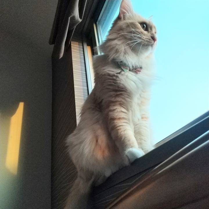 Ce048c87 6e1f 44be 842c fbabdd46c700 1649627143077