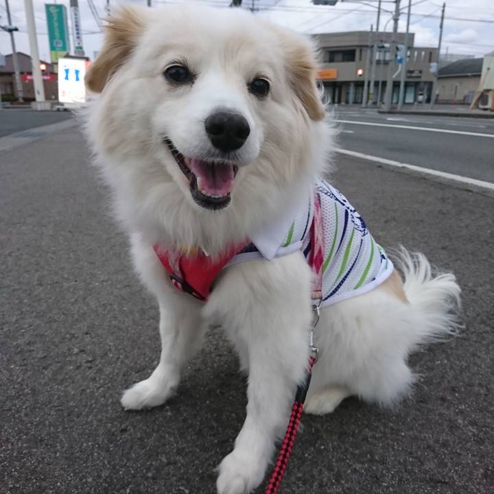 Ce04ae6d c0b3 4289 8d3c 3cc3dfc86185 1521148768359